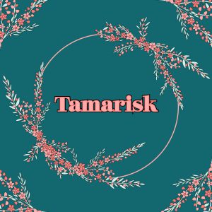 Tamarisk Boutique Logo